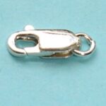 Parrot Clasps